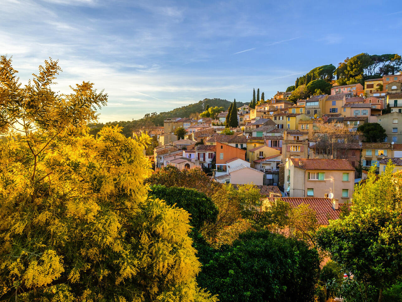 La Côte d’azur et la Fête du Mimosa