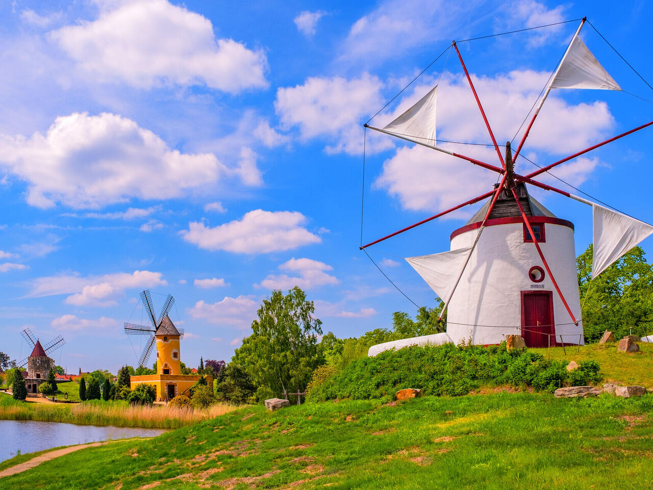 Heideblüte in der Lüneburger Heide