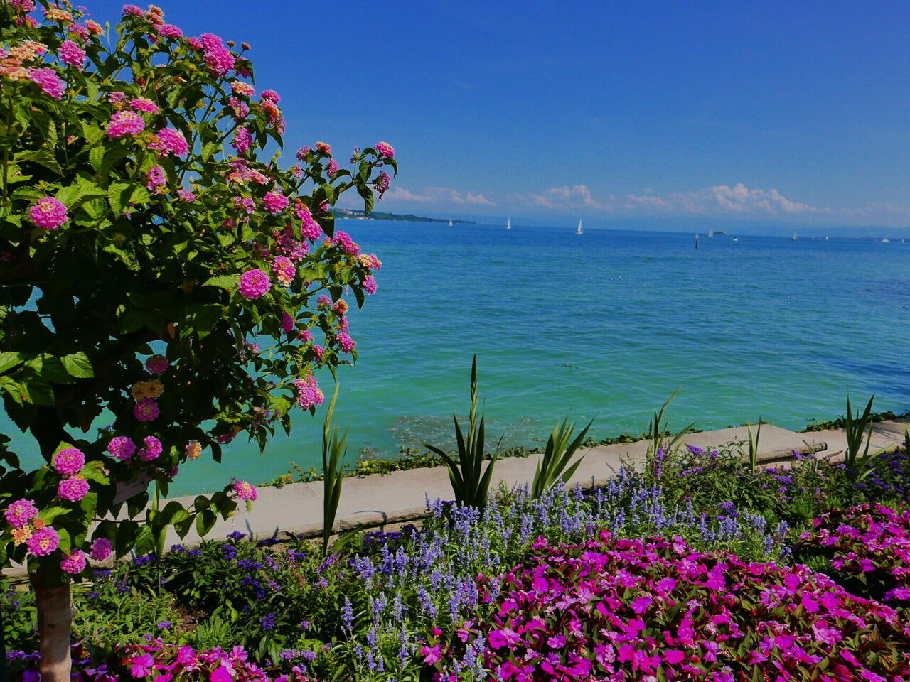 Pfingsten am Bodensee