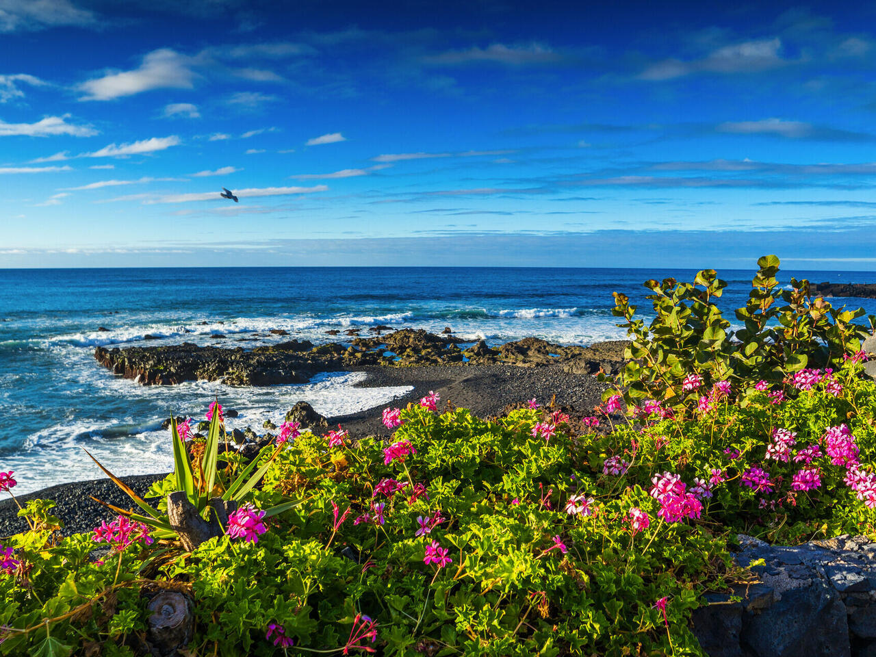 Kanaren & Kapverden treffen auf Karibik