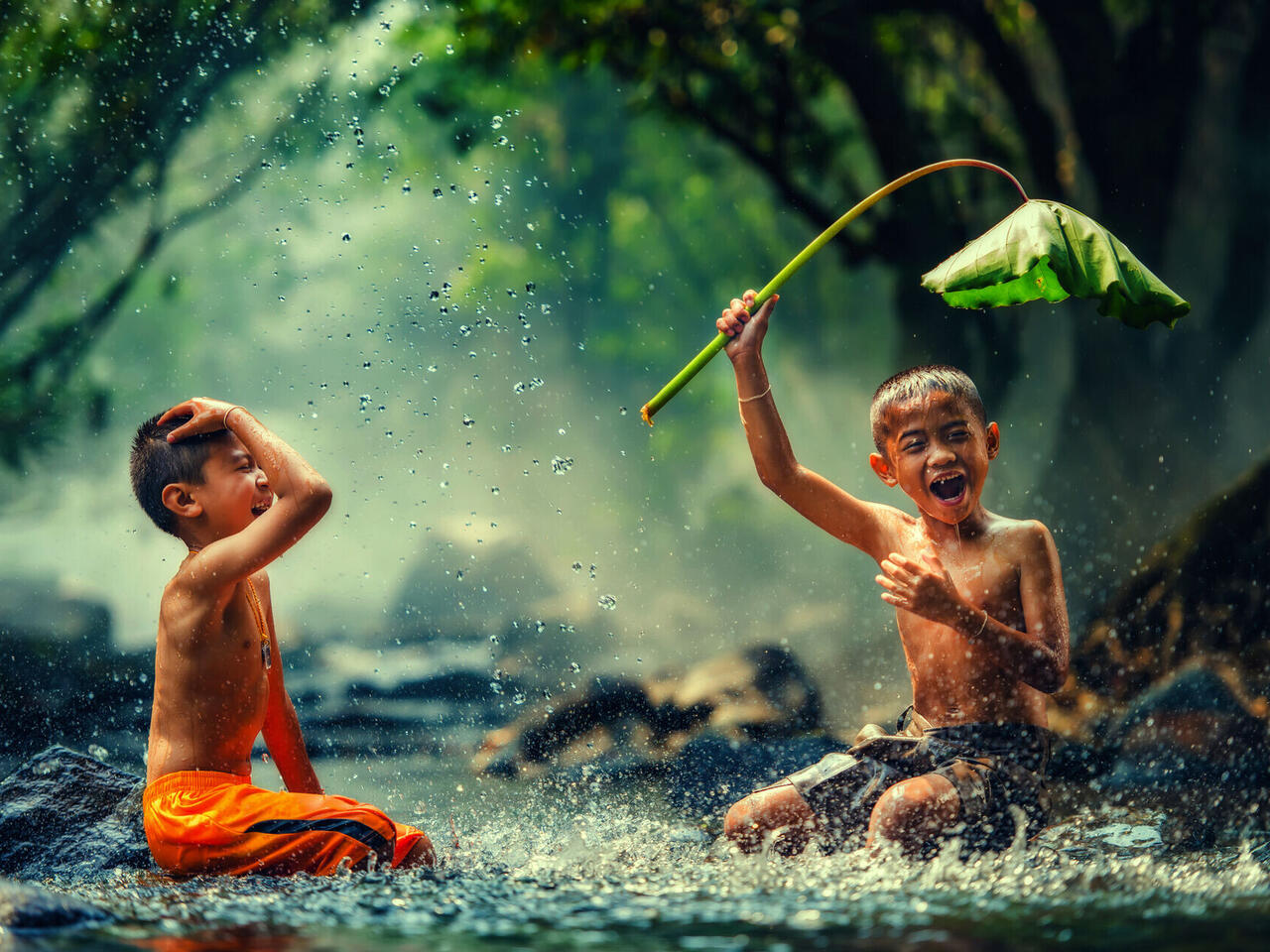 Le Vietnam enchanteur