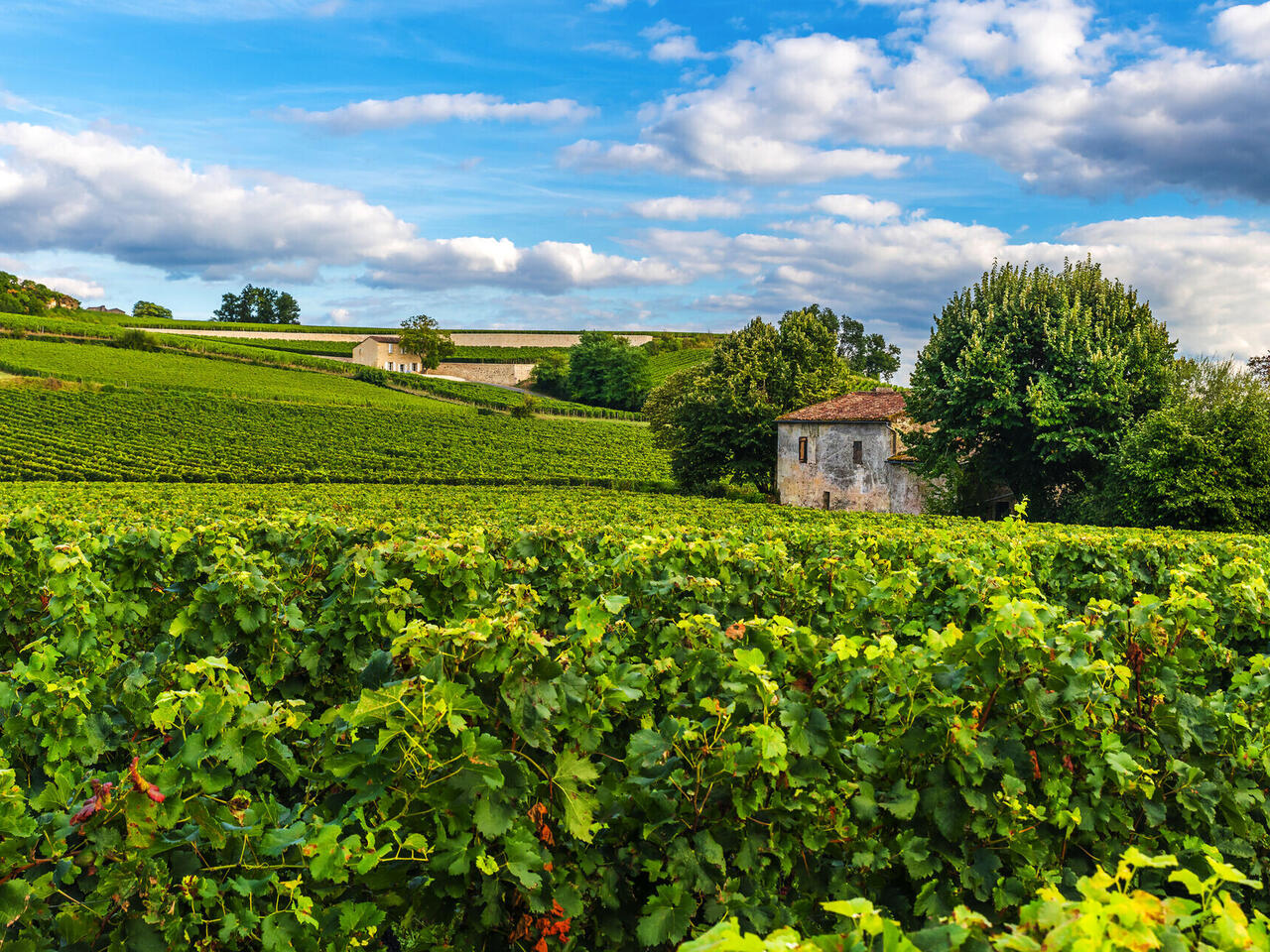Bordeaux, San Sébastien und Bilbao