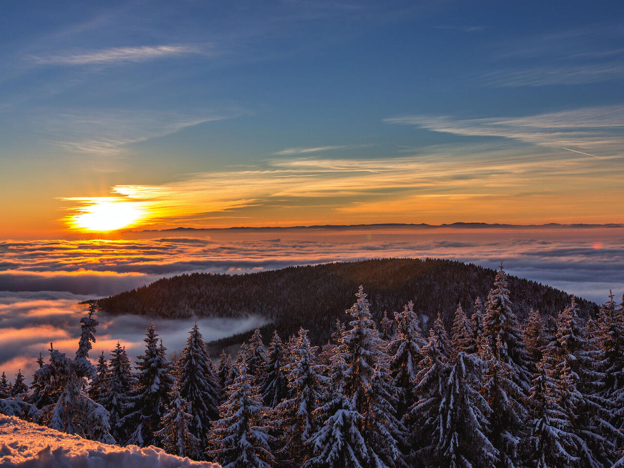 Winterpendel Schwarzwald