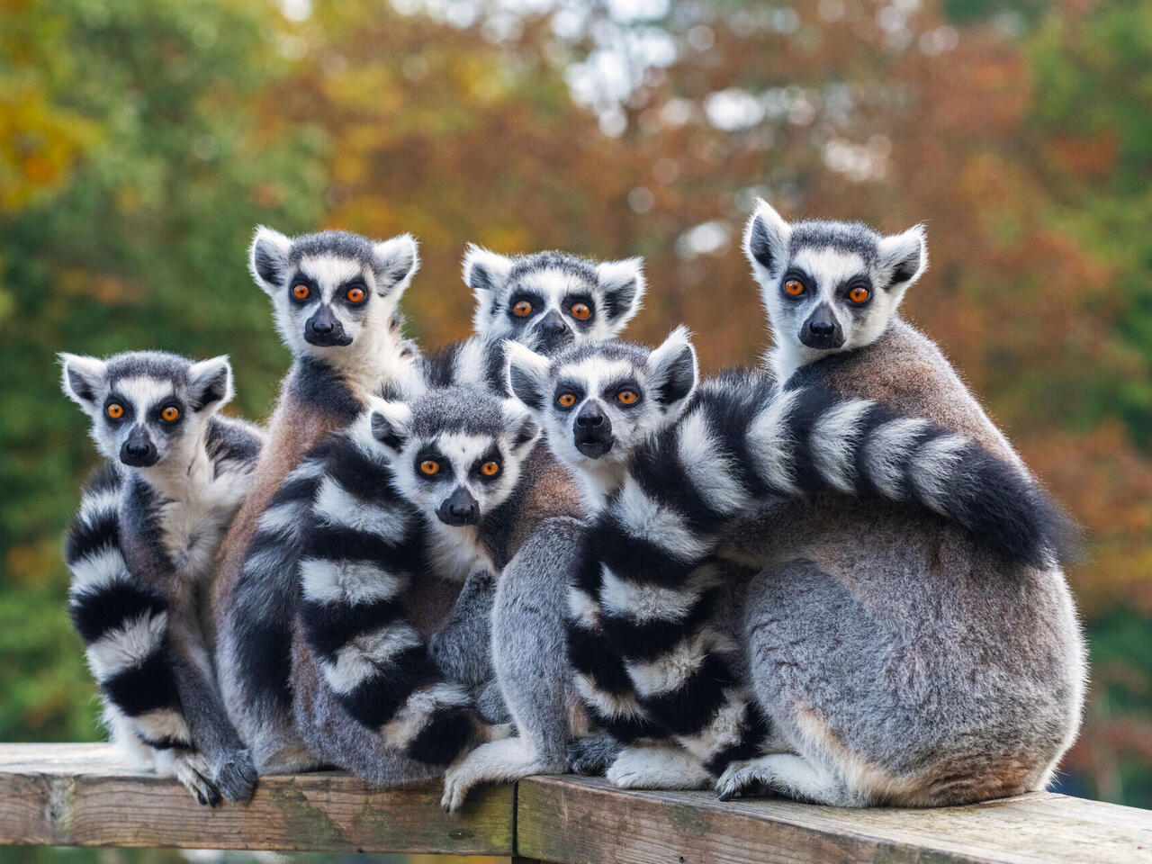 Traumziele im Indischen Ozean