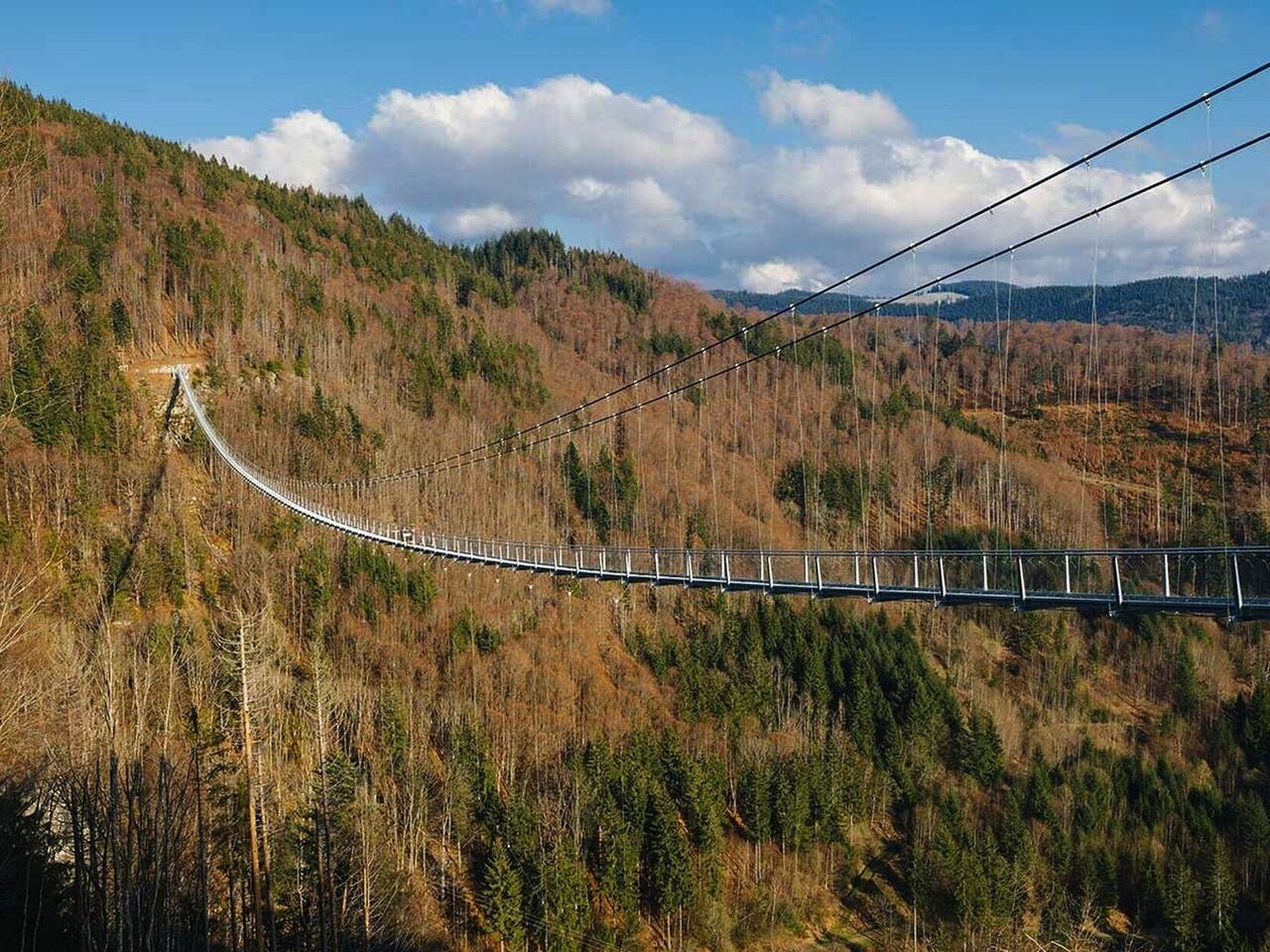 Genusswandern im Schwarzwald