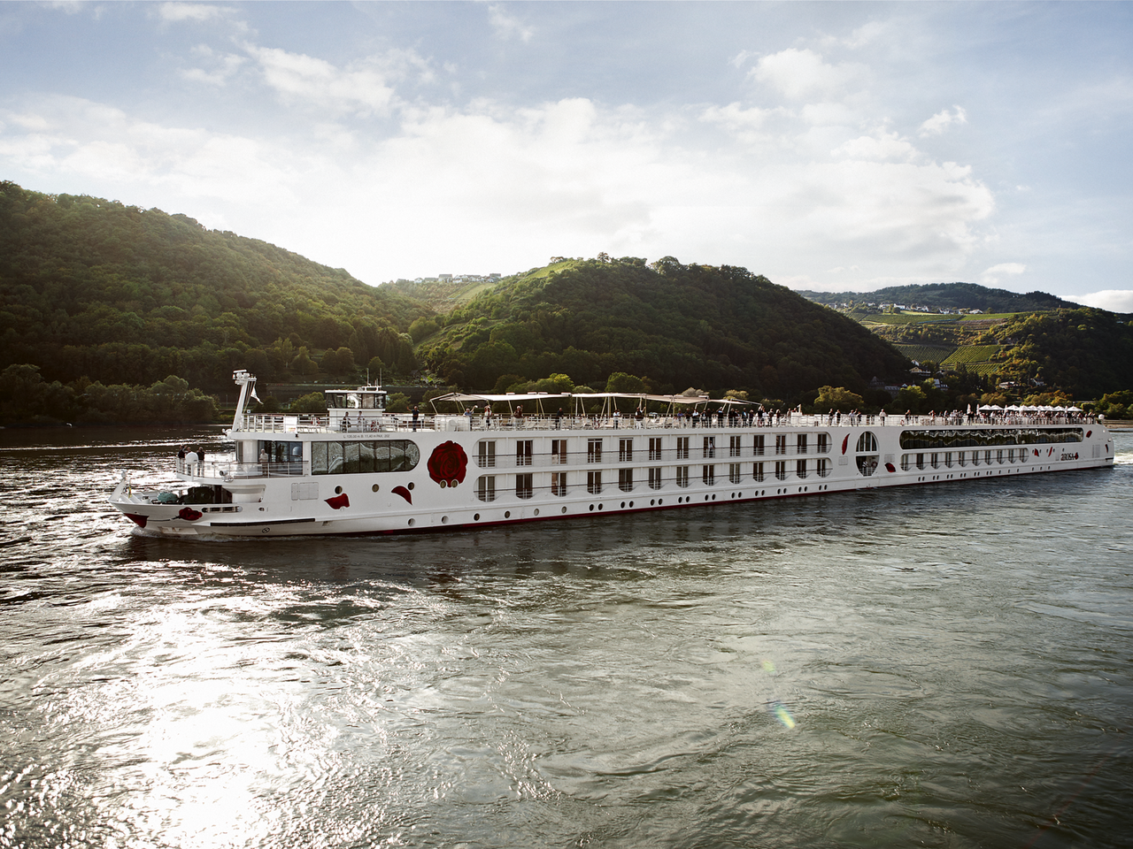 Rheinkreuzfahrt für Alleinreisende