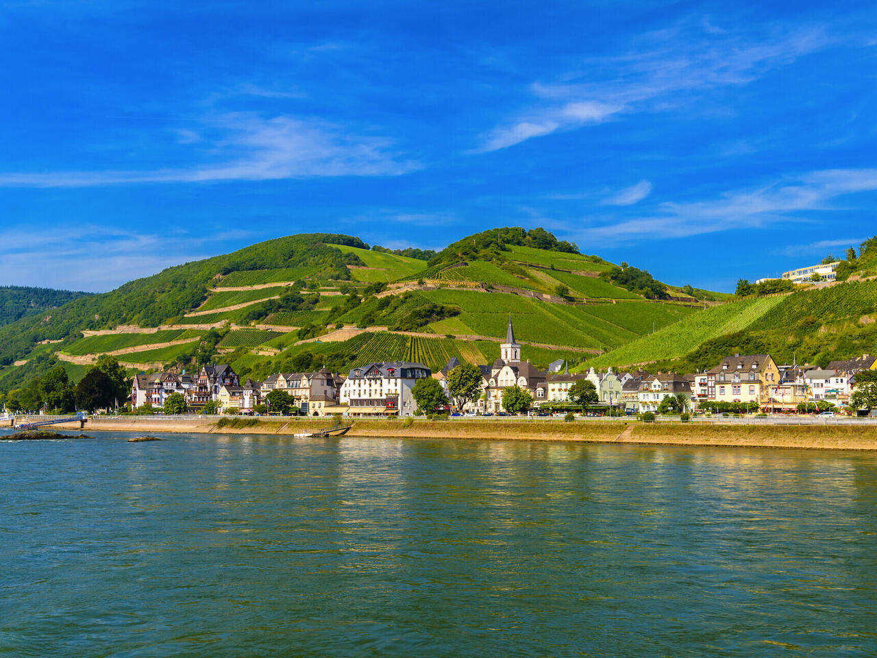 Frühling in Rüdesheim