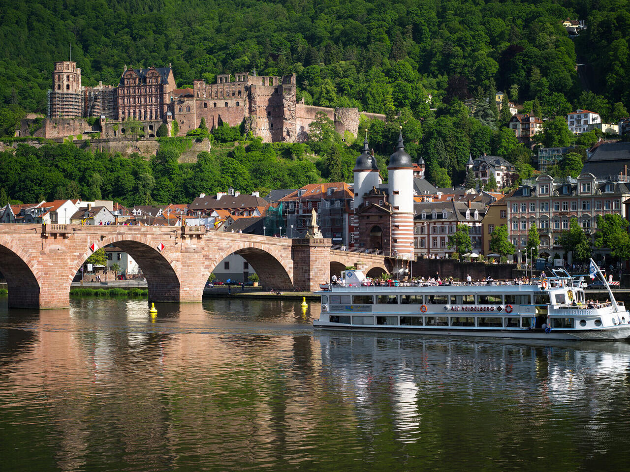 Spargelzeit in Heidelberg