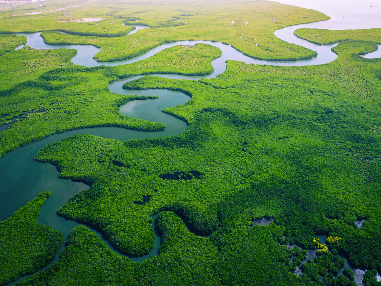 Aventure Africaine Gambie & Delta du Saloum
