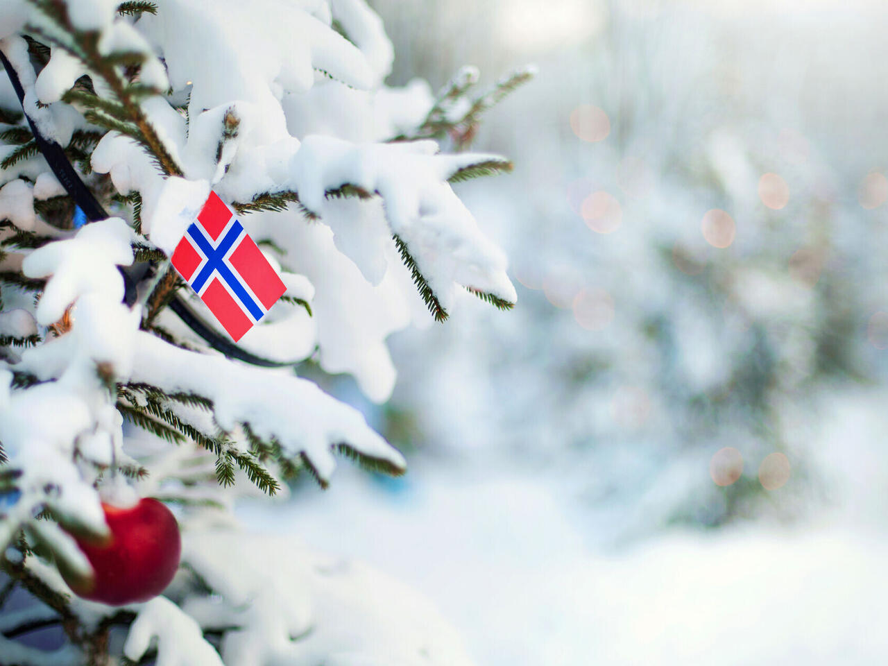 Auf der Suche nach Polarlichtern