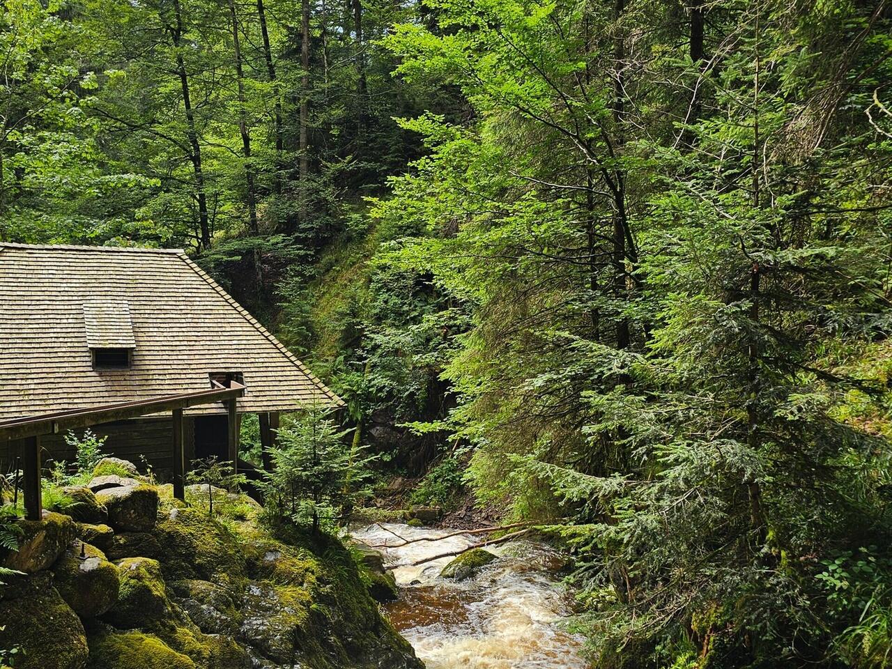 Genusswandern im Schwarzwald