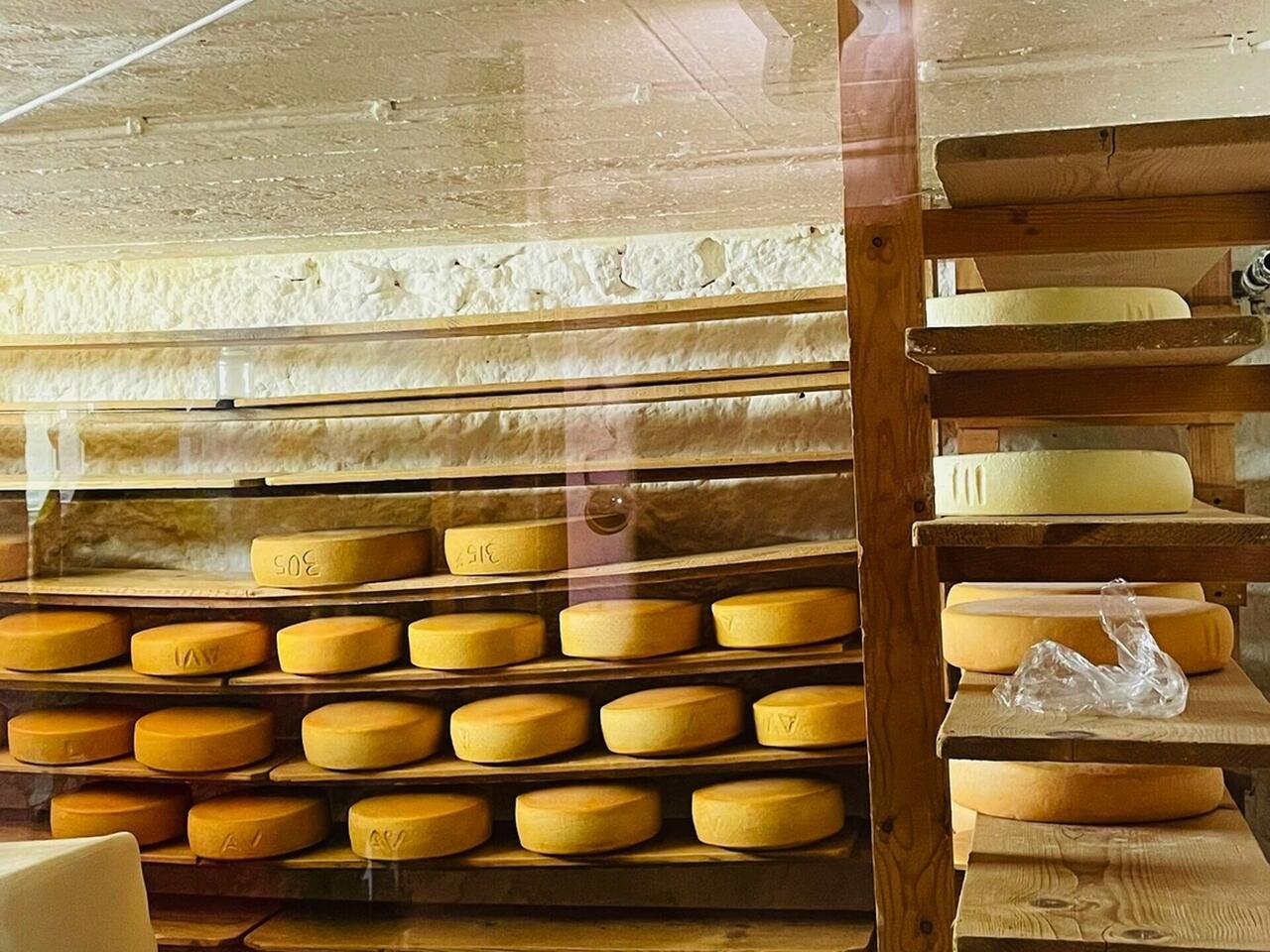 Genusswandern im Schwarzwald