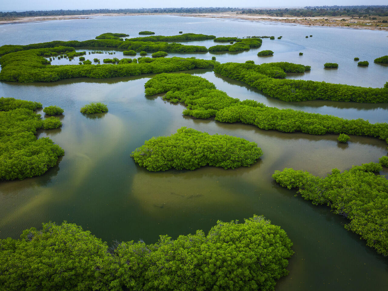 Aventure Africaine Gambie & Delta du Saloum