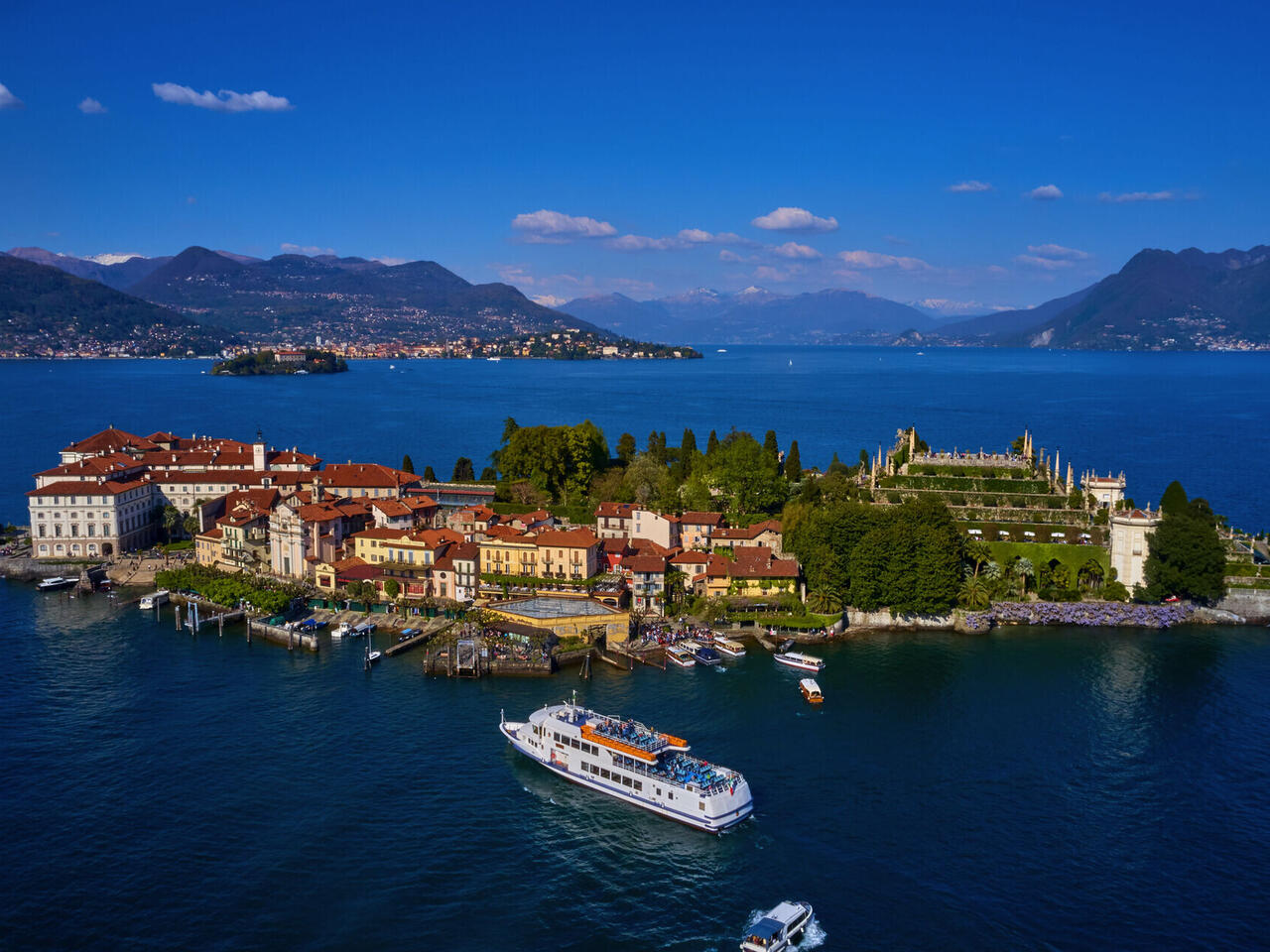 Tulpenblüte am Lago Maggiore
