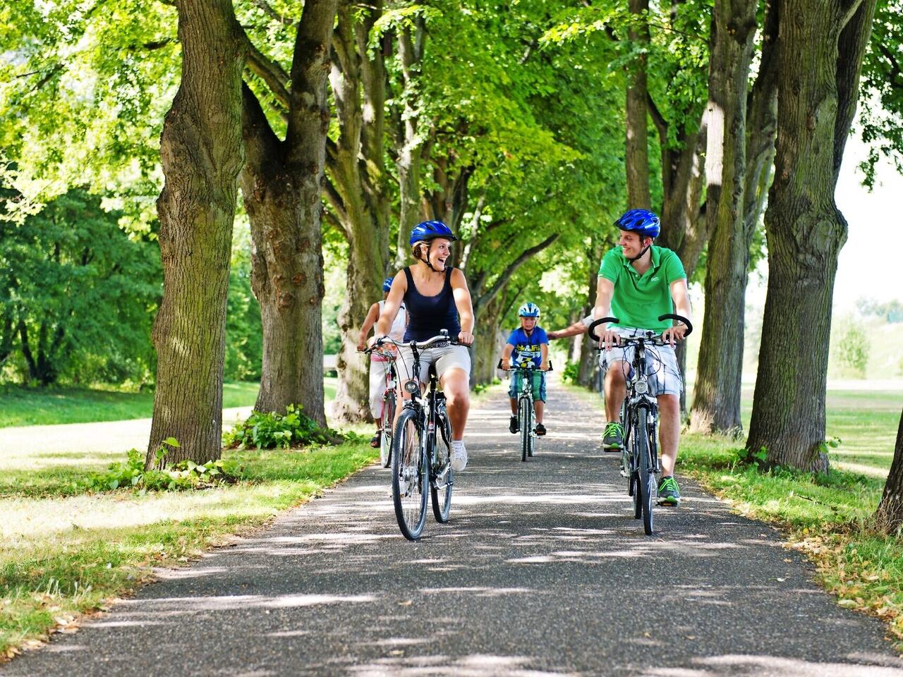 RurUfer-Radweg – ein Naturerlebnis