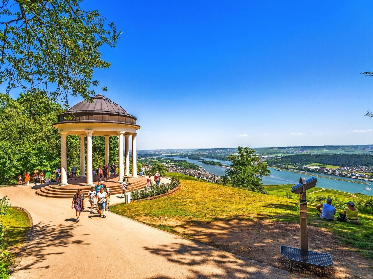 Frühling in Rüdesheim