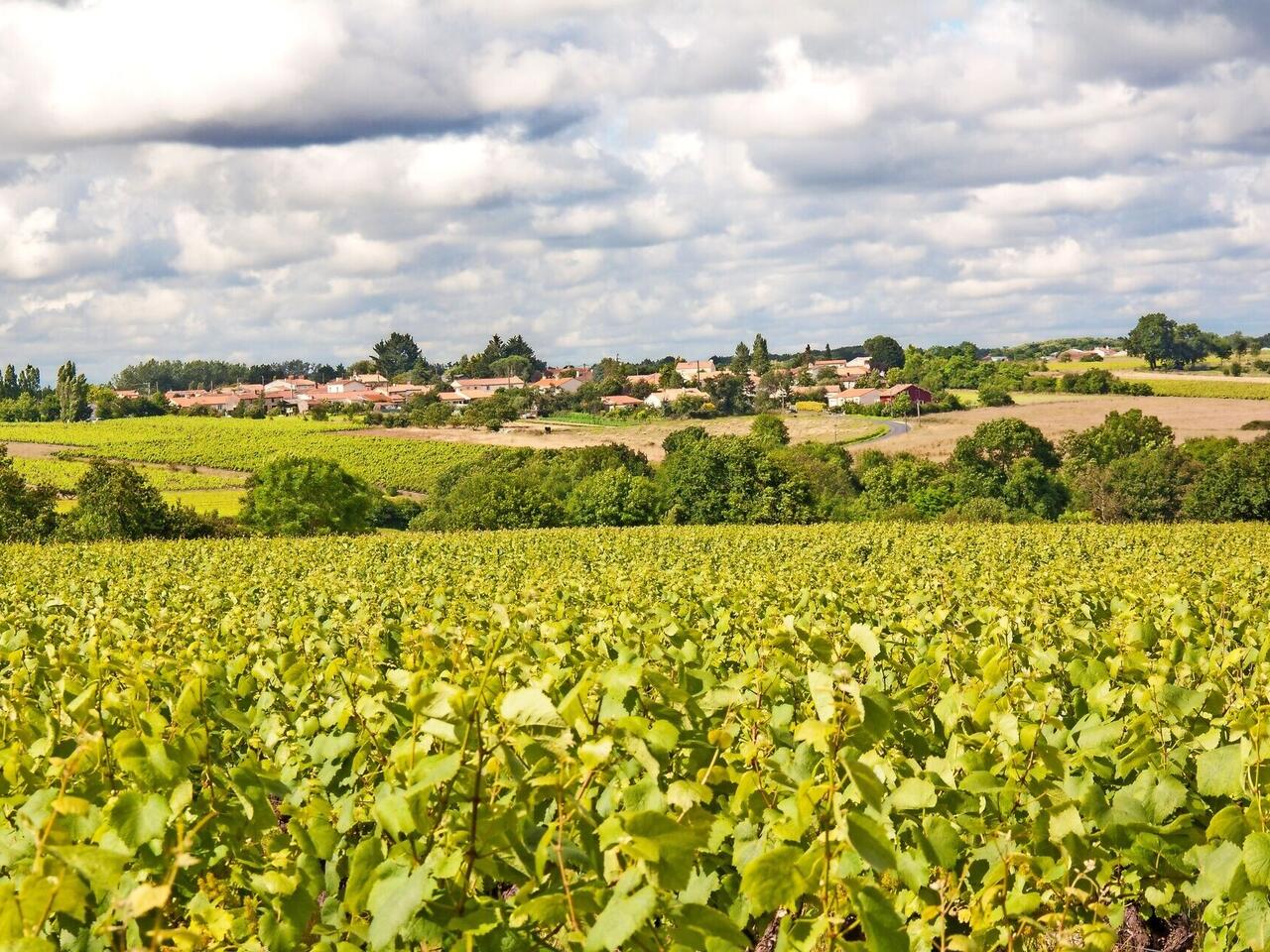 Von Nantes bis zur Atlantikküste