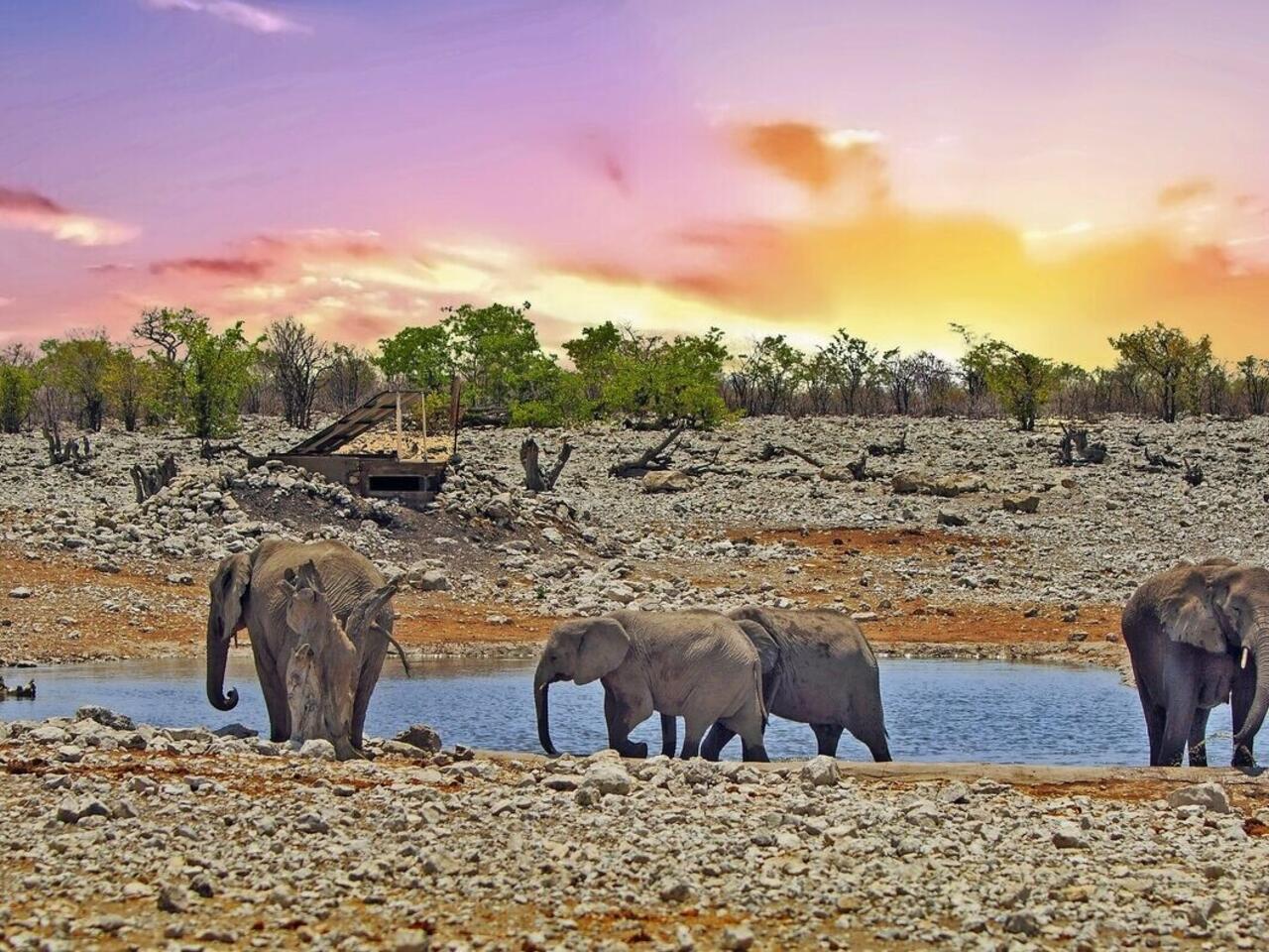 Namibia, Botswana & Simbabwe