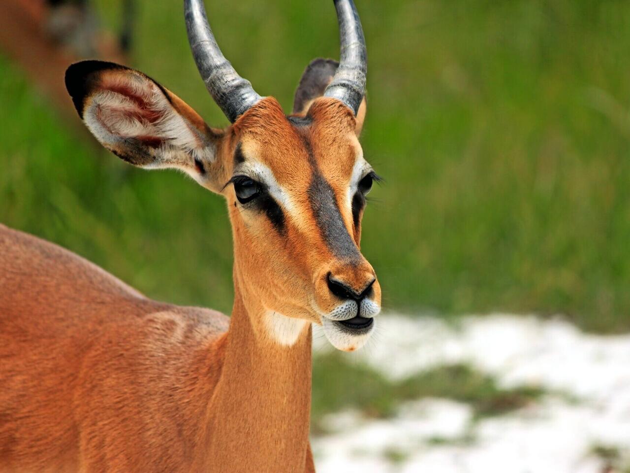 Namibia, Botswana & Simbabwe