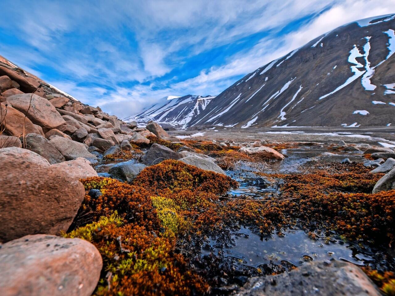 Premium Expeditionskreuzfahrt Spitzbergen