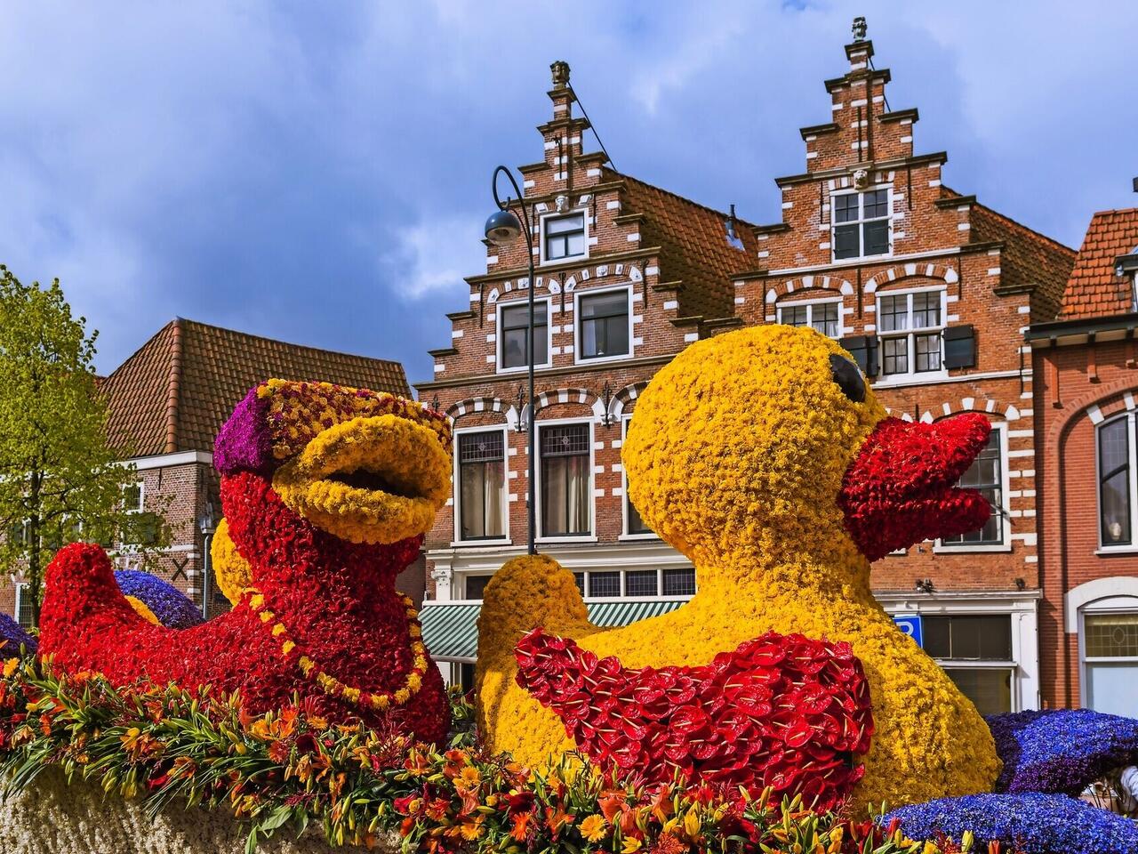 ACL - Blütenpracht in Holland