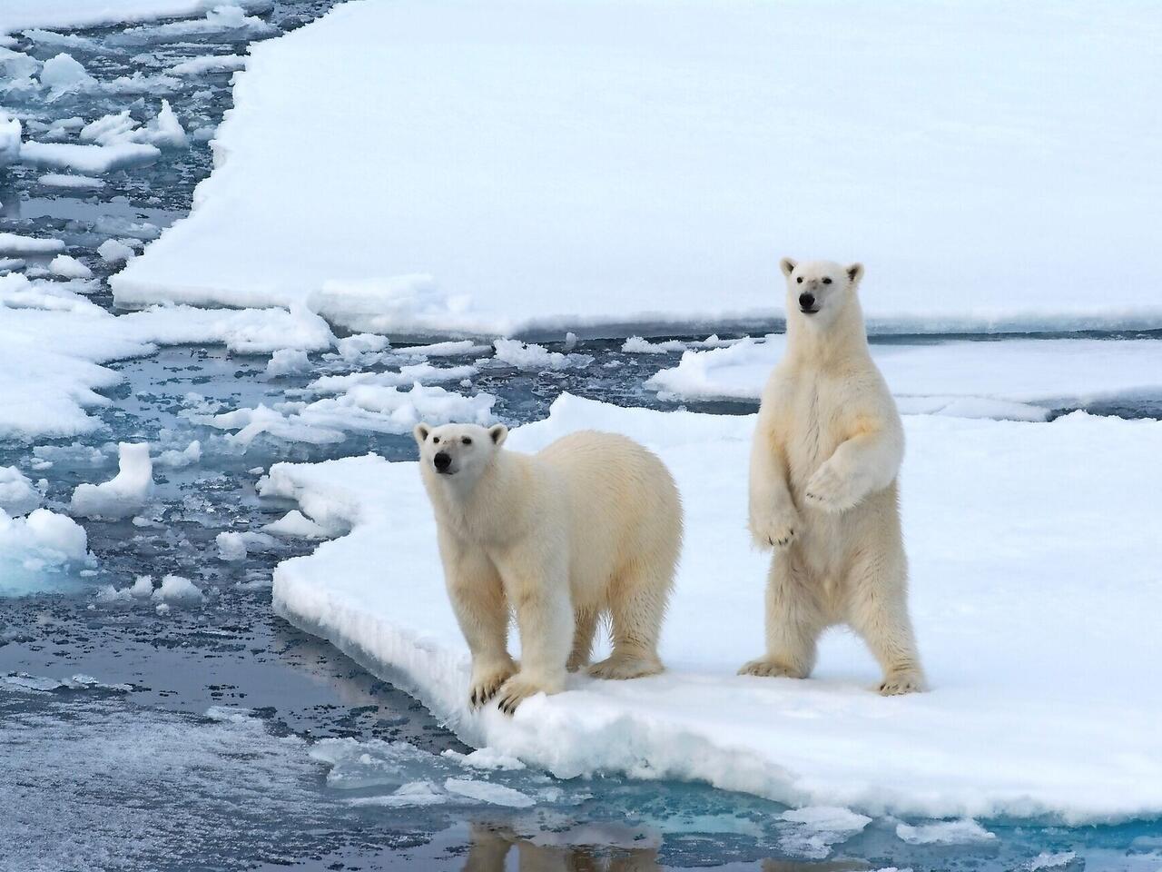 Premium Expeditionskreuzfahrt Spitzbergen