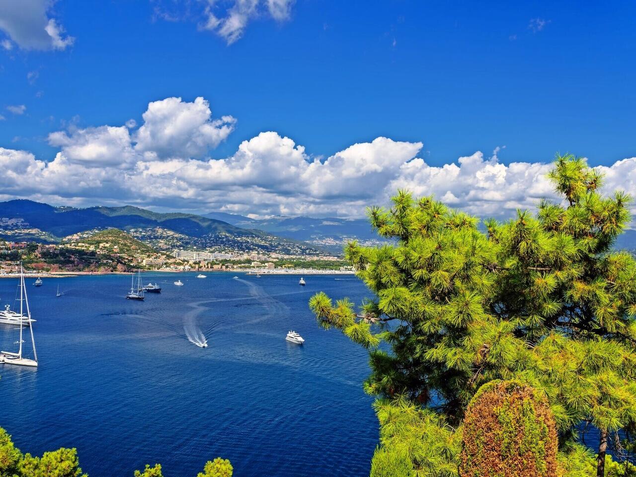 La Côte d’azur et la Fête du Mimosa