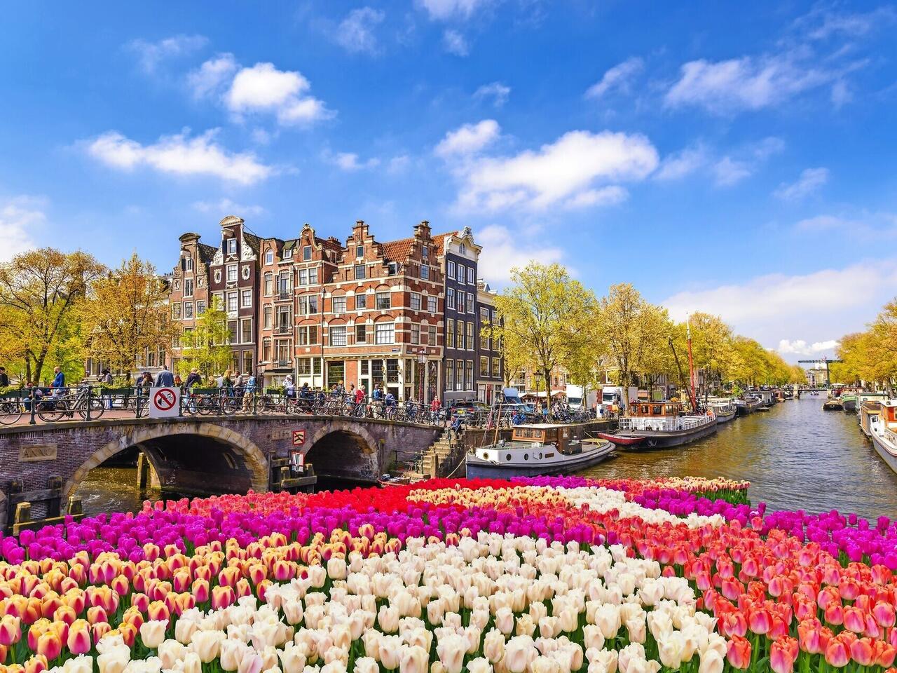 Tulpenblüte in Holland