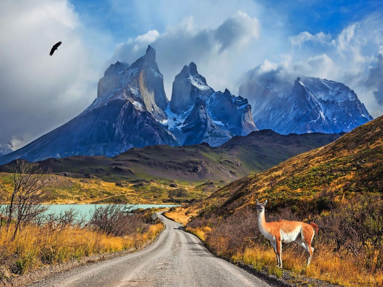 Patagonien: Best of Chile & Argentinien