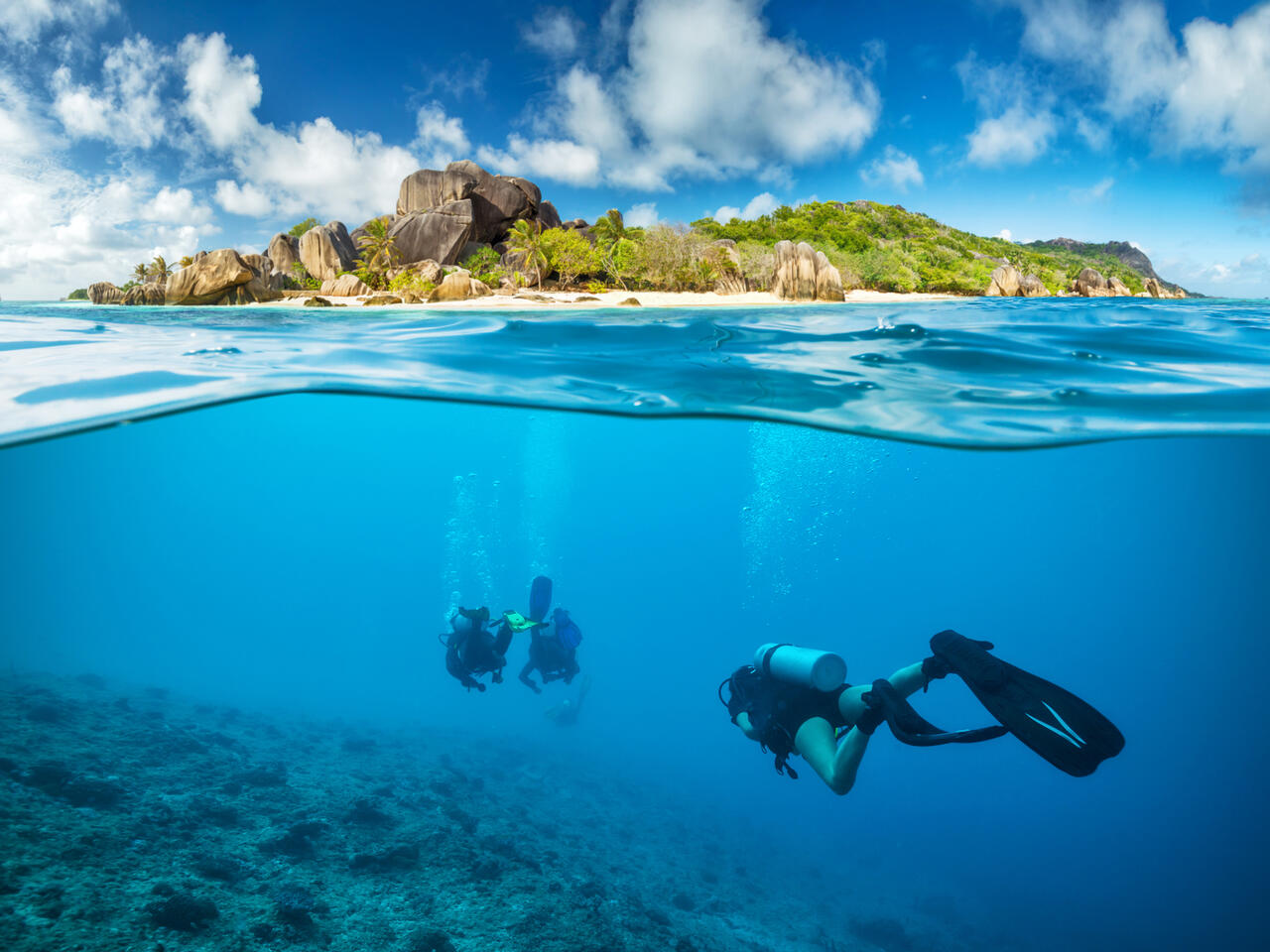 Divers below the surface in Seychelles