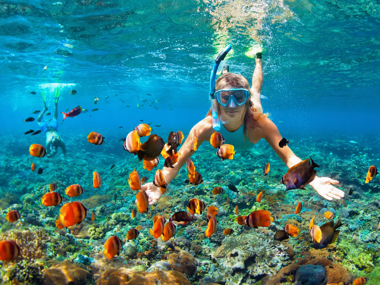 Happy family - couple in snorkeling masks dive deep underwater with tropical fishes in coral reef sea pool. Travel lifestyle, outdoor water sport adventure, swimming lessons on summer beach holiday