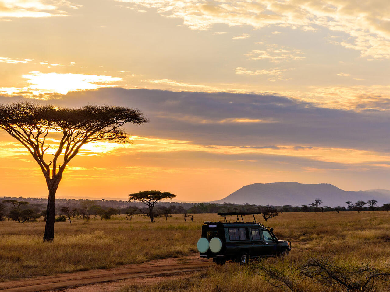 Afrique du Sud